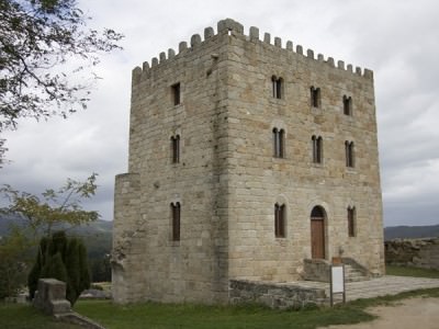 Pardo de Cela