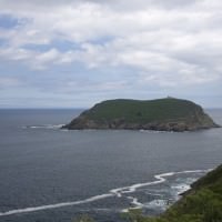 Illa Coelleira
