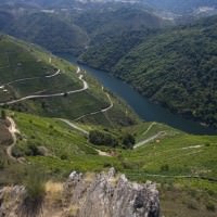 Catamarán por Amandi