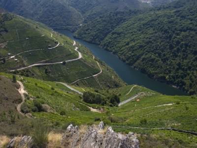 Catamarán por Amandi