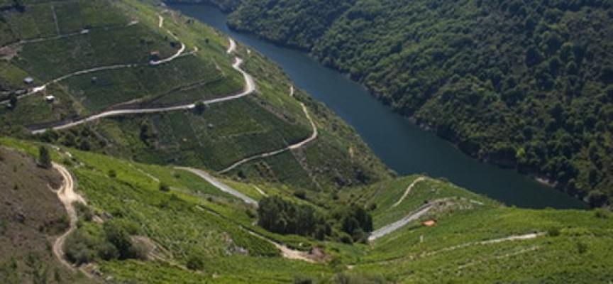 Catamarán por Amandi