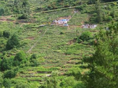 Ribeira Sacra