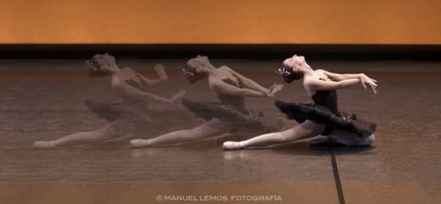 El Lago de los Cisnes en Lugo 2015